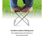Mini Folding Camping Stool, Small Portable Stools for Outdoor Hiking BBQ Rest, Light Fishing Seat for Adults