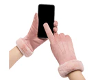 Women Lined Full Finger Gloves Thicken Warn Faux Suede Touch Screen Mittens Gray