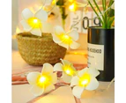 LED Artificial Plumeria Flower String Lights- Hawaiian Foam Frangipani Flower Light,USB Powered ，Fairy String Light-9.8ft 20led