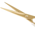 Stylish Acrylic Gold Stainless Steel Premium Multipurpose Scissors for Office Home School Art Craft (6.5 Inch)