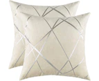 Decorative sofa pillowcase, sofa thick cushion pillowcase, square gray luxury pillow 2 sets-60x60 cm-Ivoire