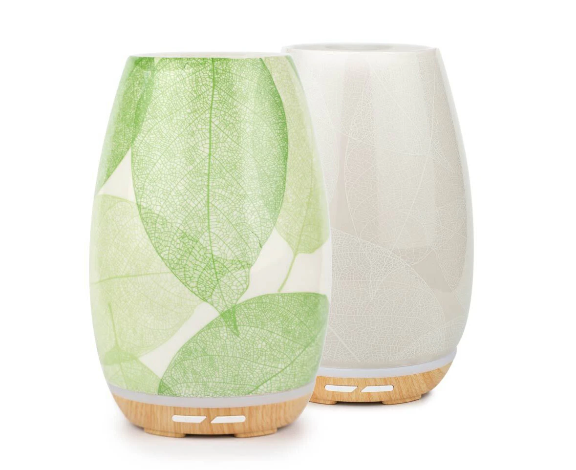 Aroma Fern Diffuser By Lively Living - Green Leaf