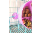 Bird Creative Foraging System Wheel Seed Food Ball Rotate Training Toy -PURPLE - PURPLE