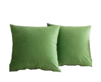 Decorative Lumbar Velvet Throw Pillow Covers ,Pack of 2 Luxury Soft Solid Cushion Cases for Sofa Couch 16"x16", Set of 2-Apple Green