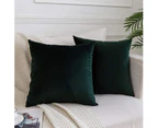 Decorative Lumbar Velvet Throw Pillow Covers ,Pack of 2 Luxury Soft Solid Cushion Cases for Sofa Couch 16"x16", Set of 2-Army Green