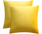 Decorative Lumbar Velvet Throw Pillow Covers ,Pack of 2 Luxury Soft Solid Cushion Cases for Sofa Couch 18"x18", Set of 2-Yellow