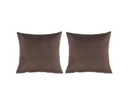 Pack of 2, Velvet Soft Decorative Square Throw Pillow Cover Cushion Covers Pillow case, Home Decor Decorations for Sofa Couch Bed Chair 40x40cm-Dark brown