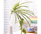 2Pack Artificial Flowers Spider Plants Fake Silk Plant Faux Greenery Artificial Plants for Home Wall Indoor Outdside(Not Include Hanging Basket)