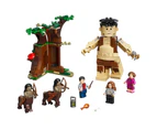 LEGO Harry Potter Forbidden Forest: Umbridge's Encounter (75967)