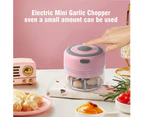Electric Mini Garlic Chopper, Food Slicer And Chopper 250Ml, Blender To Meat/Vegetables/Chopped Fruit/Onion - 100Ml