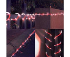 Solar Outdoor Rope Lights 33Ft 100Led Candy-Color Waterproof Twinkle Lights