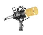 BM800 Condenser Studio Broadcasting Singing Microphone Podcast Recording Mic-Blue