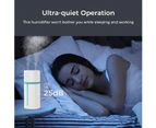 Portable Car Humidifiers, Cool Mist Small Humidifiers, USB Waterless Auto Quiet Humidifier - White