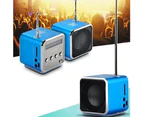 Bluebird TDV26 Mini Subwoofer Stereo Speaker TF Card FM Radio Music Player with Antenna-Blue