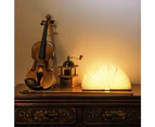 Wooden book lamp, novel folding book lamp, folding night lamp, USB rechargeable wooden desk lamp, magnetic design - creative gift