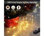 Light Post,Usb 10 Meters 100 Lights Copper Wire Light String Photo Clip10M 100 Led Fairy Lights, 50 Picture Clips, Usb Fairy