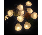 Beach String Lights, 20LED 9.8ft Light Seashell Decorative Lights Battery&USB Plug in for Bedroom Party Indoor Wedding