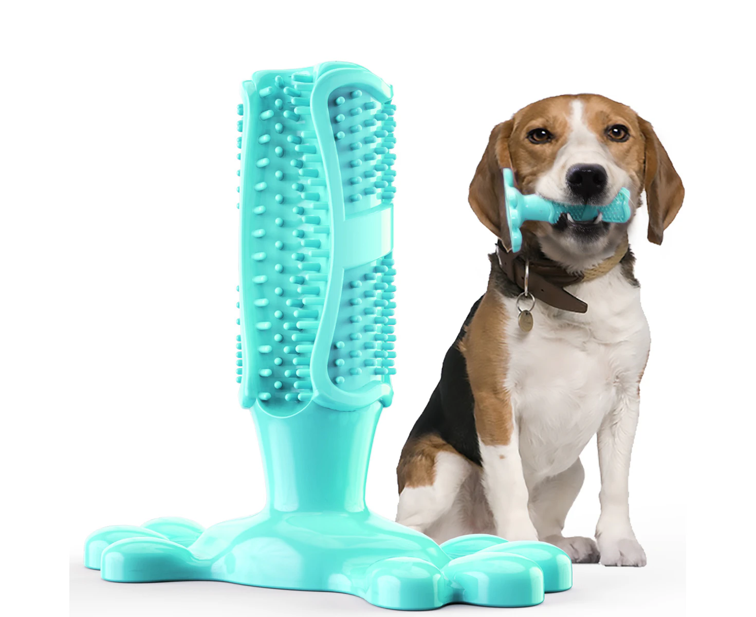 Empawrium Dog Toothbrush Interactive Tpr Chew Toy With Stabilizing Paw Base