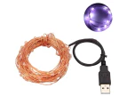 Erlez 5/10m Waterproof USB LED Copper Wire Fairy String Lights Garland Decoration-Purple 10M 100LED