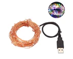 Erlez 5/10m Waterproof USB LED Copper Wire Fairy String Lights Garland Decoration-Multicolor 10M 100LED
