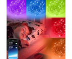 Erlez USB Bluetooth-compatible Phone Remote Controlled LED Light Strip Christmas Holiday Decor-05