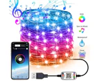 Erlez USB Bluetooth-compatible Phone Remote Controlled LED Light Strip Christmas Holiday Decor-20