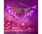 Erlez Halloween Spider Fairy Lights Spooky Decoration USB LED Purple Spider String Lights for Room-B