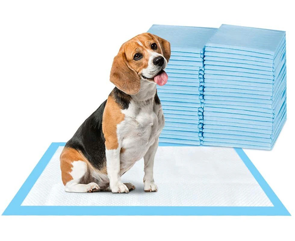 400pc Dog Training Pads 60x60cm Dogs Puppy Pads Pee Pads Cat Toilet Training Pad