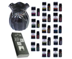 Oil Burner Kit + 14 Essential Oils Scents & 10 Tealight Candles, Black Bow - Black