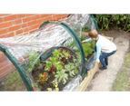 Maze Garden Plant Tunnel Cover 2m (Poly)