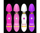 SunnyHouse Safe 12 Speed G-Spot Vibrator Erotic Vagina Clitoris Stimulator Women AV Stick - Pink USB Charging