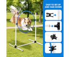 7PCS Dog Agility Equipment Obstacle Course Pet Training High Tire Hurdle Jump Exercise Supplies Sports Tunnel Weave Pole Pause Box with Bags