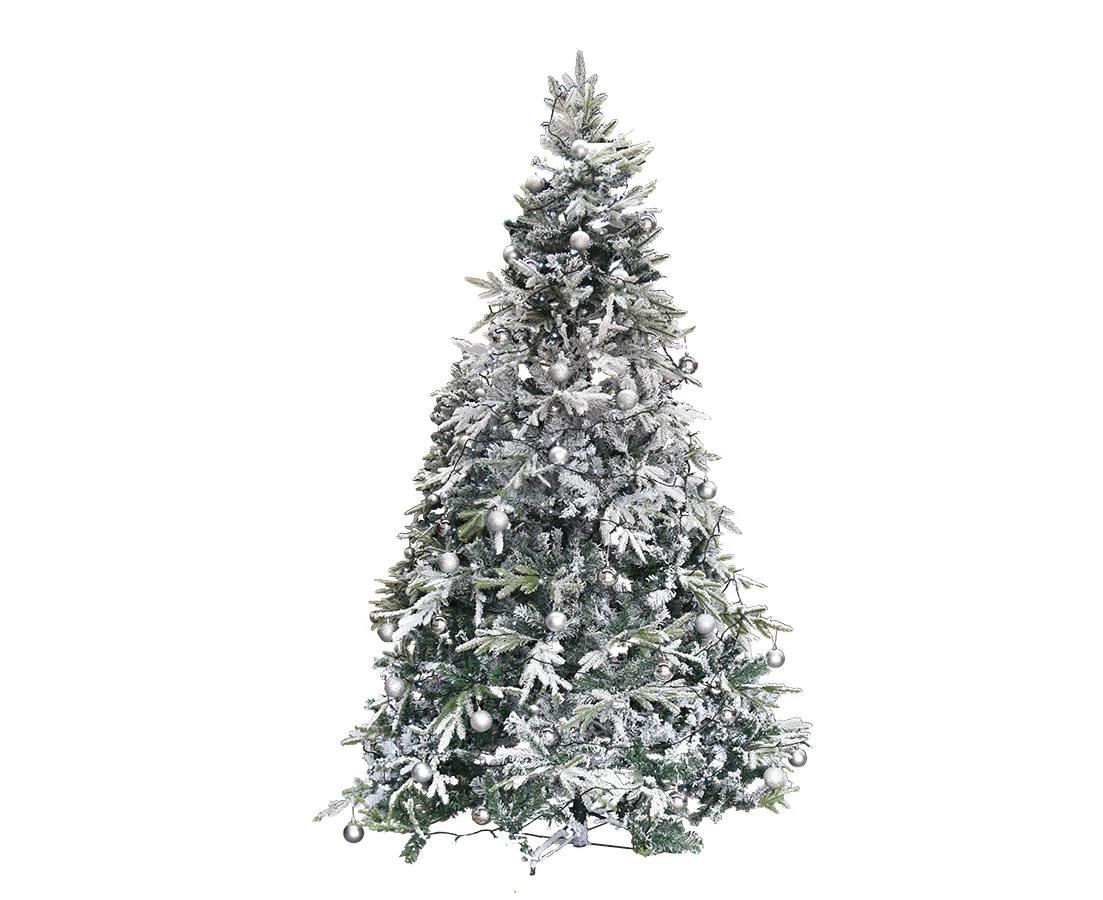 Christmas Tree 2.4m 8ft Snowy Alaskan Fir Massive 1500 tips Snow capped