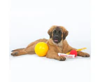 Aussie Dog Puppy Pack Pet Dog Toy Ball Ringathong Over 30kg Large
