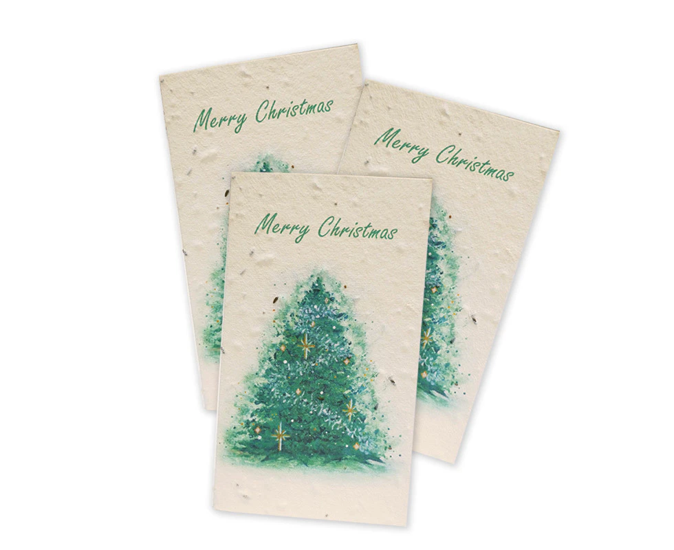 Christmas Seed Card 3 Pack - Salad Mix