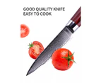 High Quality Damascus Steel 67 Layers Chef Knife 3.5 Inch Kitchen Knife Professional Cooking Knife