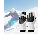 Winter Ski Gloves, Waterproof Touchscreen Snowboard Gloves, Warm Gloves for Skiing Running Cycling,(White,L)