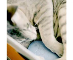 Kbu Pet Kitten Portable Simulation Cats Tongue Massage Comb Brush Grooming Tool-Pink - Pink