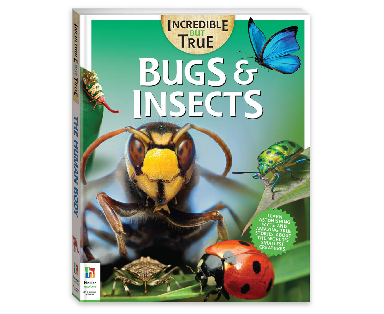 Incredible But True: Bugs & Insects Hardcover Book