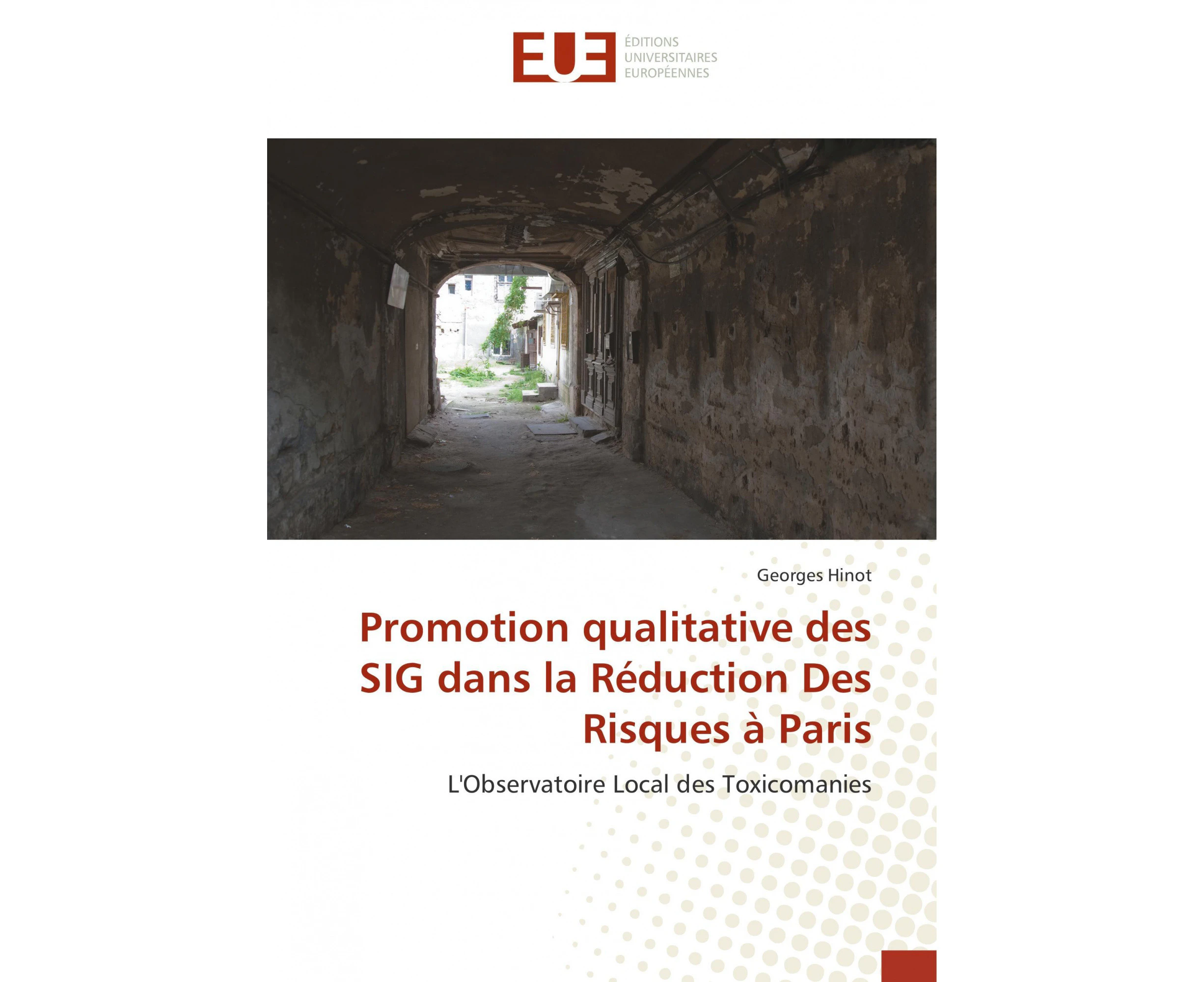 Promotion Qualitative Des Sig Dans La Reduction Des Risques a Paris = Promotion Qualitative Des Sig Dans La Ra(c)Duction Des Risques a Paris [French]