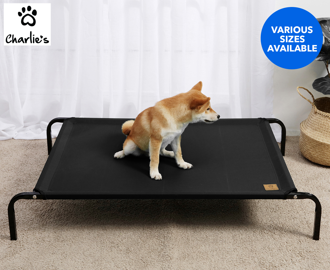 Charlie's Elevated Trampoline Pet Bed - Black | Catch.co.nz