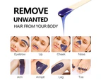 300g Hard Wax Bean Kit Body Hair Removal Lavender