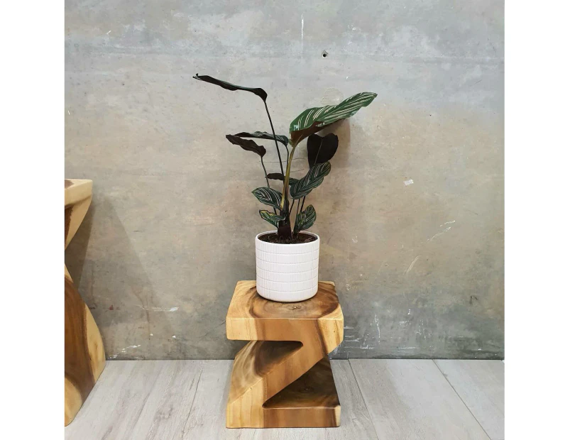 [Free Shipping]MANGO TREE"Z" Shape Plant Stand/Stool/Side Table/Corner Table - Timber Clear Finish