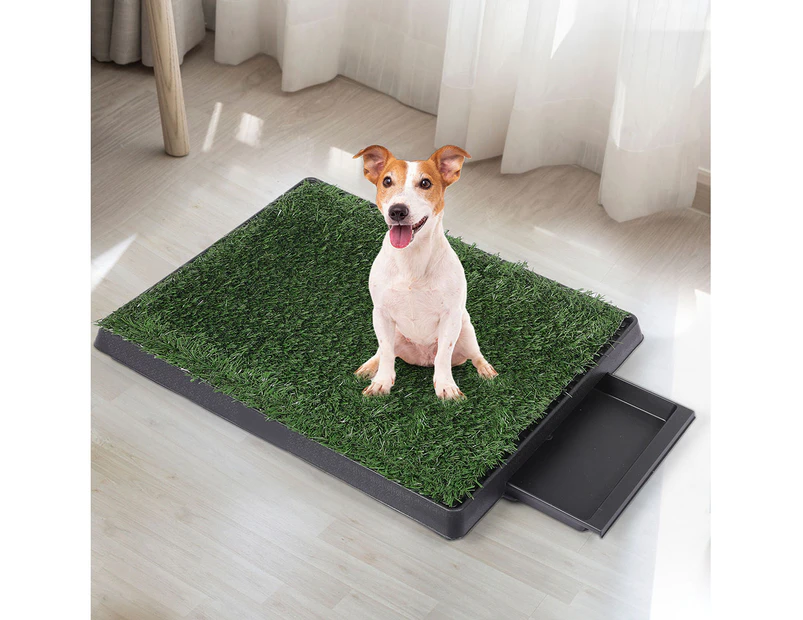 Indoor turf outlet potty