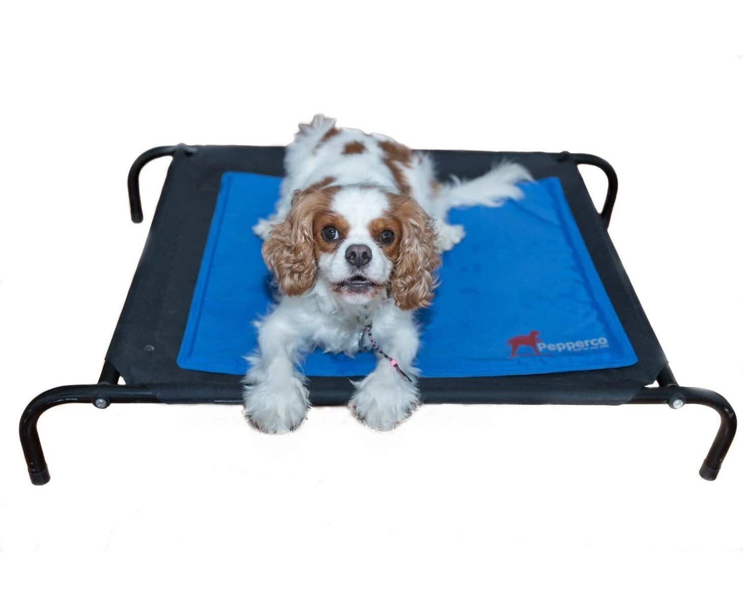 Pepperco Large Pet Dog Cooling Mat Instant Non-Toxic Cool Gel Pad 50cmx60cm