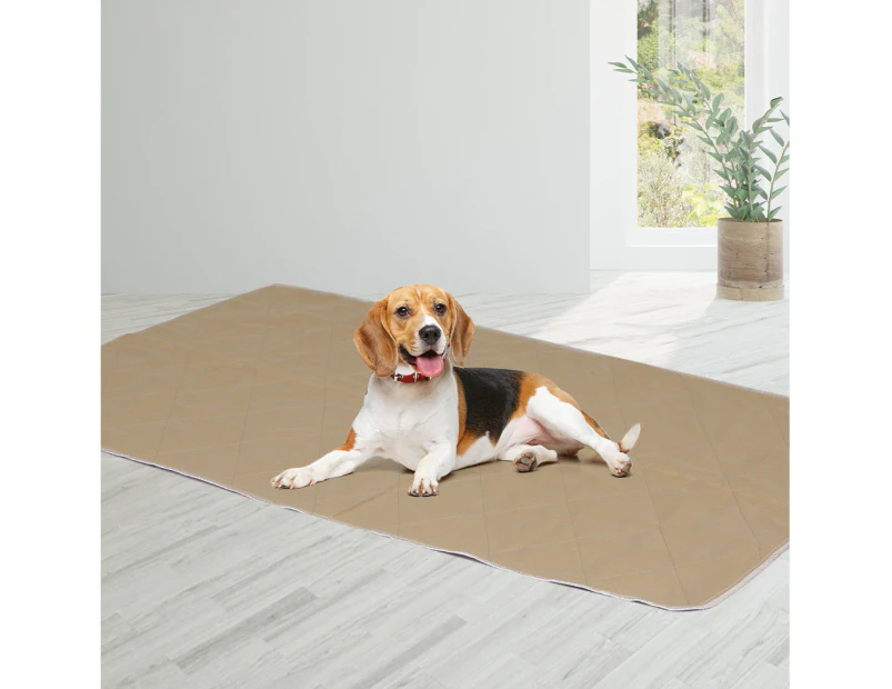 Pawz 2 Pcs 90x90 cm Reusable Waterproof Pet Puppy Toilet Training Pads XXL