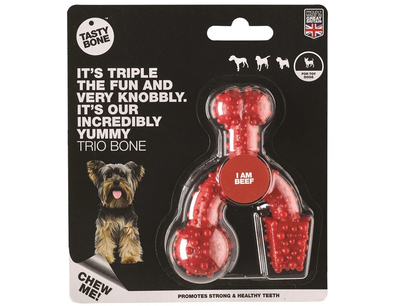 Tasty Bone Nylon Trio Bone Beef Dental Care Dog Chew Toy