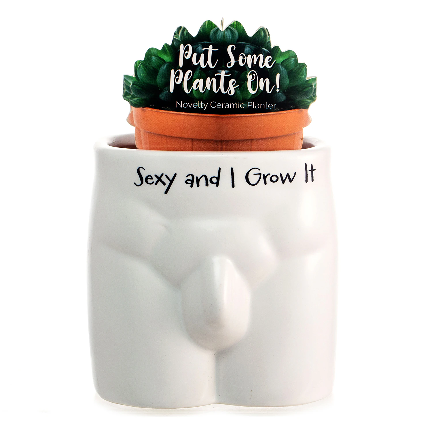 Boxer Gifts Put Some Plants On Planter Funny Plant Pot White Se*y & I Grow It