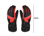 Ski gloves touch screen warm waterproof riding thickening adult cold winter outdoor,(Black,Style2)