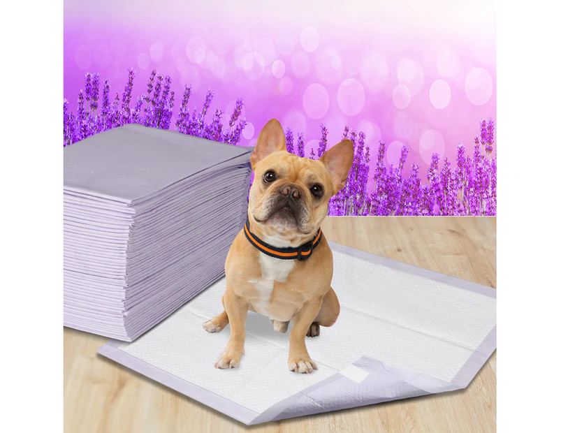 PaWz 100 Pcs 60x60 cm Pet Puppy Toilet Training Pads Absorbent Lavender Scent